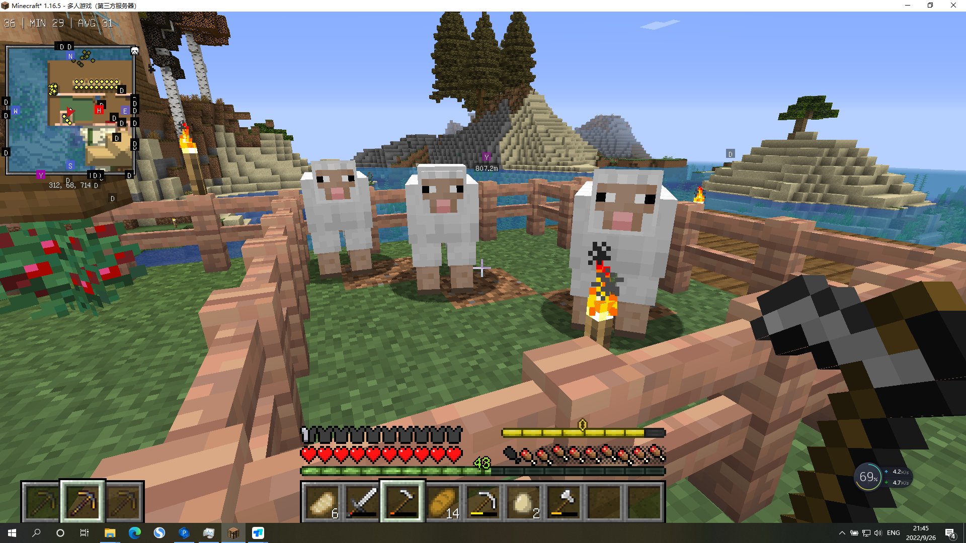 森林 年度版 截图3